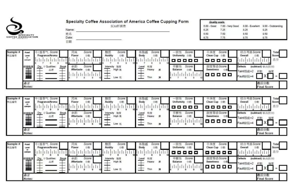 SCAA杯测评分体系全解析：从十一项指标到精品咖啡分数分级