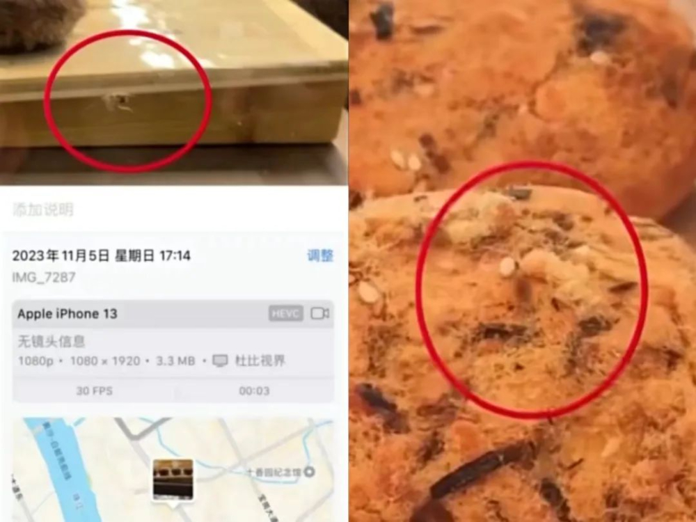 奈雪门店面包柜现活虫引发卫生质疑,双开门设计被指难以防虫 奈雪门店面包柜现活虫引发卫生质疑,双开门设计被指难以防虫