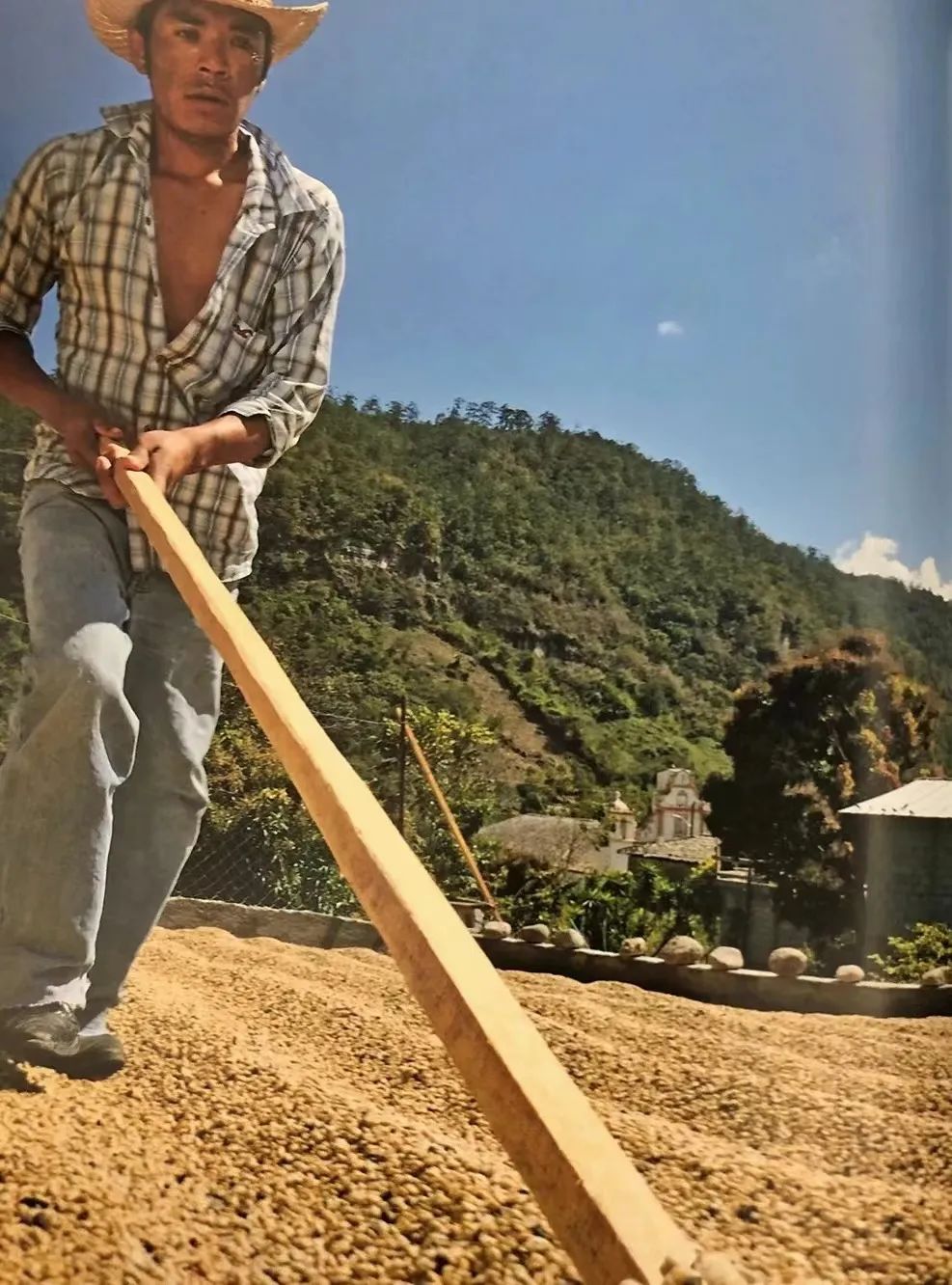 日晒咖啡豆为何曾长期背负次级豆标签?从处理法演变看精品日晒的逆袭之路 日晒咖啡豆为何曾长期背负次级豆标签?从处理法演变看精品日晒的逆袭之路