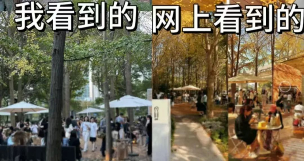 银杏咖啡馆打卡热潮背后：网图与实景落差引发游客吐槽