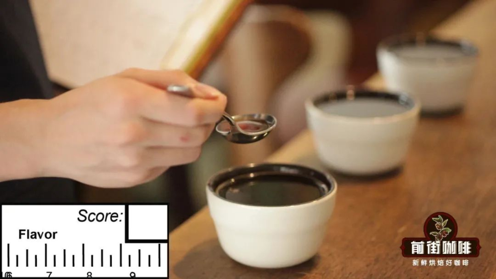 SCAA杯测评分体系全解析：从十一项指标到精品咖啡分数分级