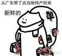 全自动咖啡机遇蟑螂困扰:日常清洁与保养不可忽视的关键细节 全自动咖啡机遇蟑螂困扰:日常清洁与保养不可忽视的关键细节