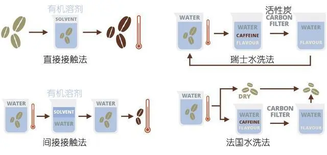 巴西IAC天然无咖啡因咖啡育种迈入关键验证期，商业化前景可期