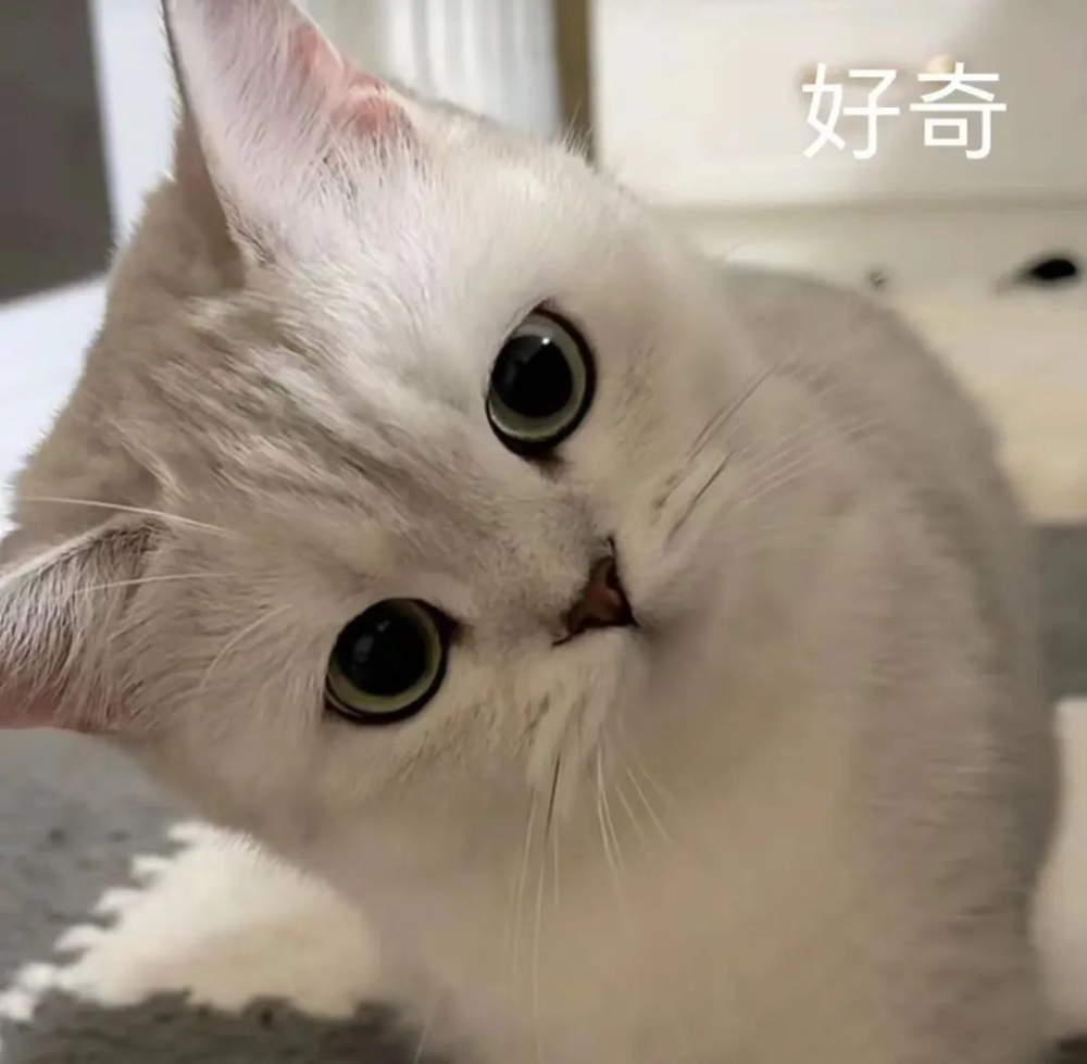 手冲三段式注水时机对风味有何影响?浅烘与中深烘对比实验解析 手冲三段式注水时机对风味有何影响?浅烘与中深烘对比实验解析