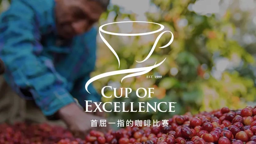 卓越杯COE赛事全解析:评分标准、赛制流程与竞拍批次含义 卓越杯COE赛事全解析:评分标准、赛制流程与竞拍批次含义