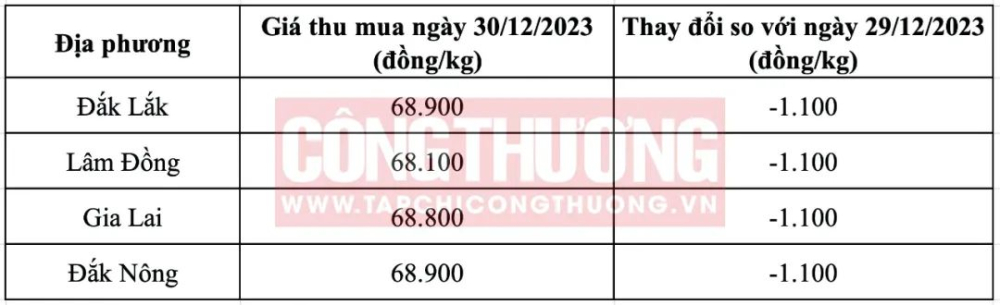 越南咖啡供应回升带动价格回调，全球市场多重因素共同作用