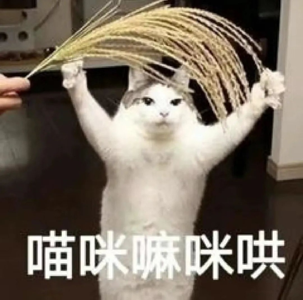 意式拼配的核心原理与实操方法：从生拼熟拼到手冲拼配的完整思路