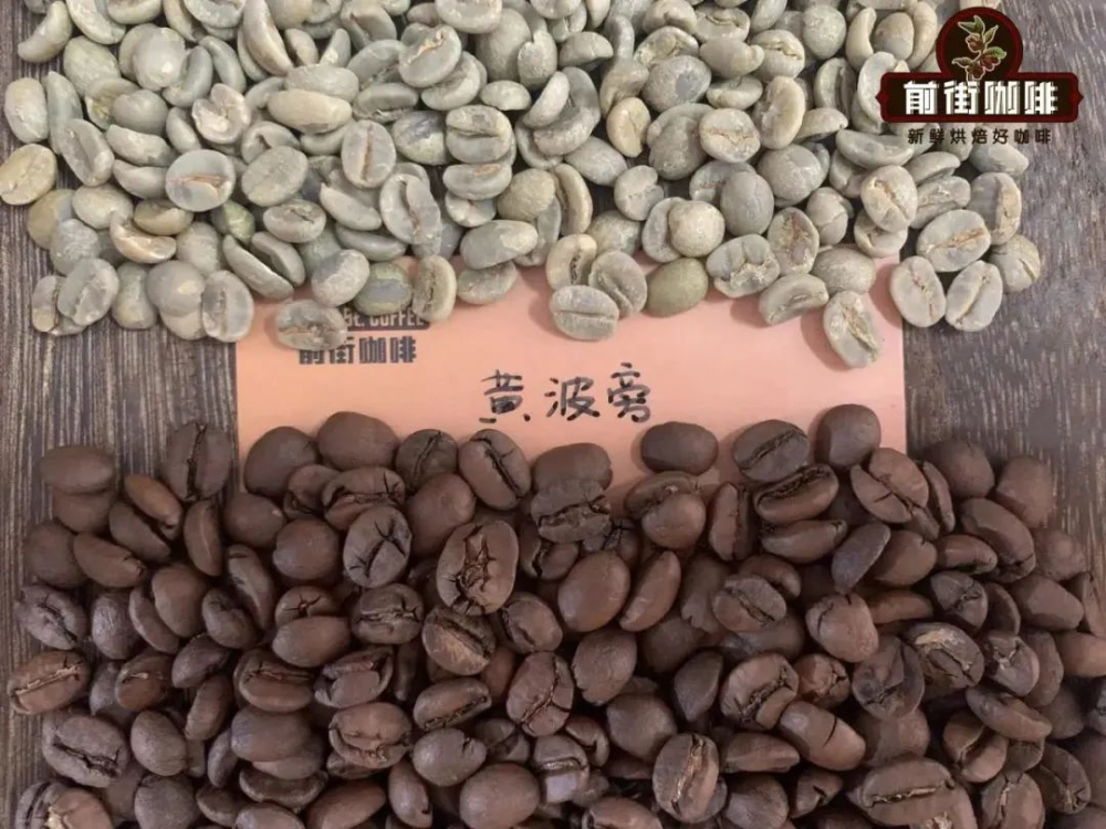 黄波旁究竟属于什么咖啡品种？它与红波旁、铁皮卡之间有怎样的血缘关联