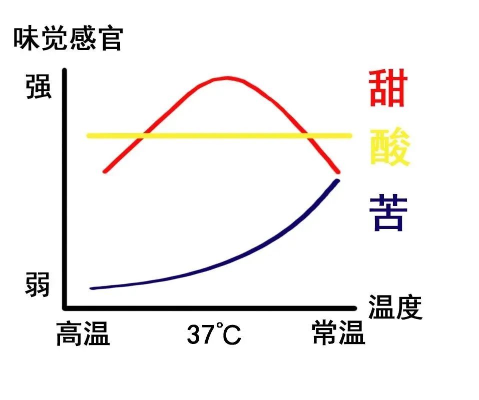 凉咖啡如何回温才不毁风味?实测电热炉、酒精灯加热手冲咖啡的口感差异 凉咖啡如何回温才不毁风味?实测电热炉、酒精灯加热手冲咖啡的口感差异
