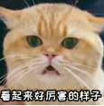 Combo组合杯遇热炸裂引热议，专为“一豆多喝”设计的器具为何不耐高温？