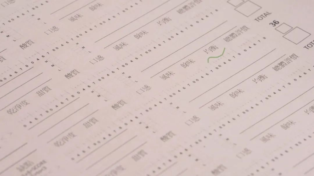 手冲咖啡的平衡感究竟指什么？从蓝山咖啡的高价看铁皮卡品种的均衡优势