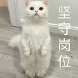 春节假期瑞幸门店冷热两重天:有人爆单连轴转,有人闲到画龙迎新年 春节假期瑞幸门店冷热两重天:有人爆单连轴转,有人闲到画龙迎新年