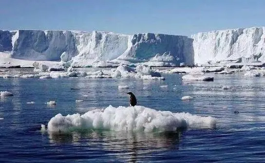 气候变暖突破1.5℃临界点,咖啡产业面临减产与转型双重考验 气候变暖突破1.5℃临界点,咖啡产业面临减产与转型双重考验