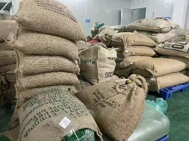咖啡生豆新鲜度分级指南:新豆、旧豆、老豆与陈年豆如何界定? 咖啡生豆新鲜度分级指南:新豆、旧豆、老豆与陈年豆如何界定?
