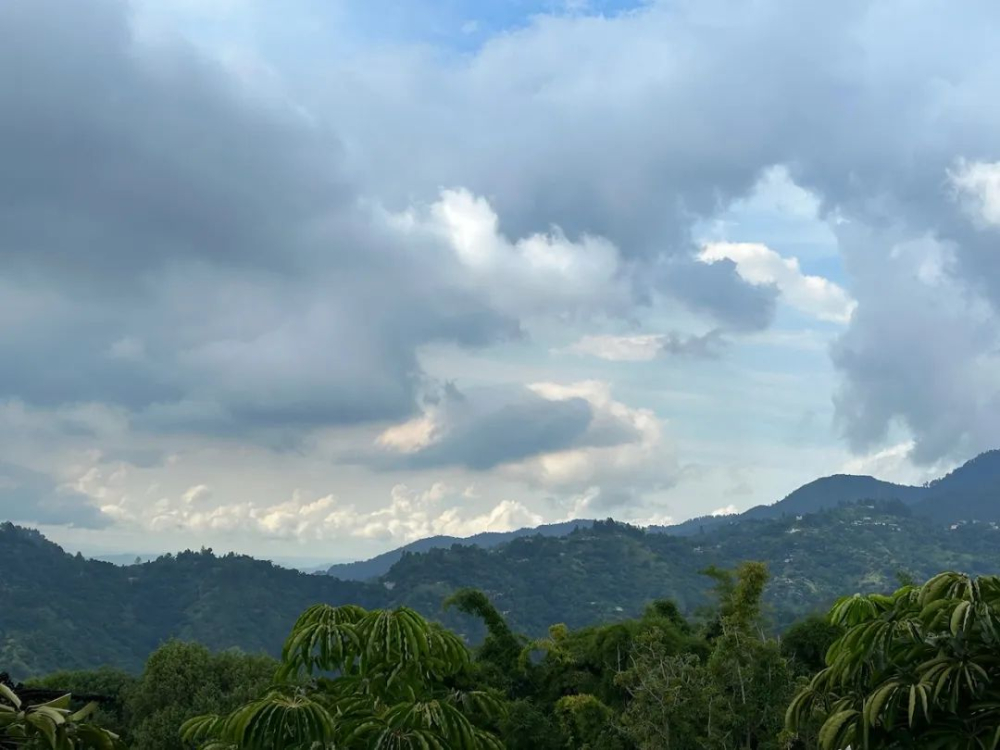 牙买加蓝山咖啡深度解析:从克里夫顿庄园种植到前街一号风味 牙买加蓝山咖啡深度解析:从克里夫顿庄园种植到前街一号风味
