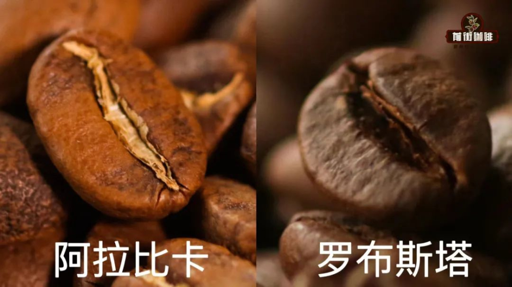 咖啡因含量深度解析:一杯咖啡究竟含多少?每日安全摄入量及身体影响 咖啡因含量深度解析:一杯咖啡究竟含多少?每日安全摄入量及身体影响