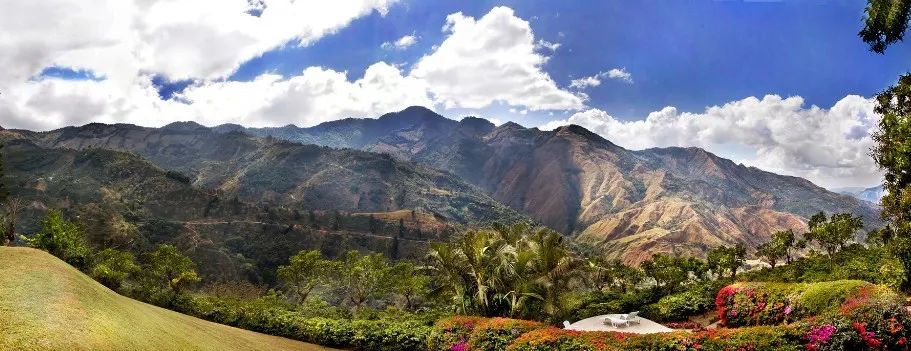 危地马拉新东方产区瑰夏咖啡豆:风土条件、品种源流与蜜处理风味解析 危地马拉新东方产区瑰夏咖啡豆:风土条件、品种源流与蜜处理风味解析