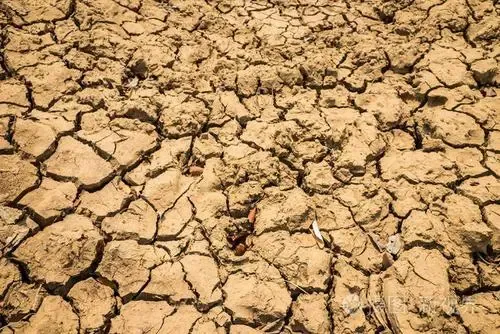 罗布斯塔期货逼近4000美元关口,极端天气与地缘风险双重施压咖啡供应 罗布斯塔期货逼近4000美元关口,极端天气与地缘风险双重施压咖啡供应