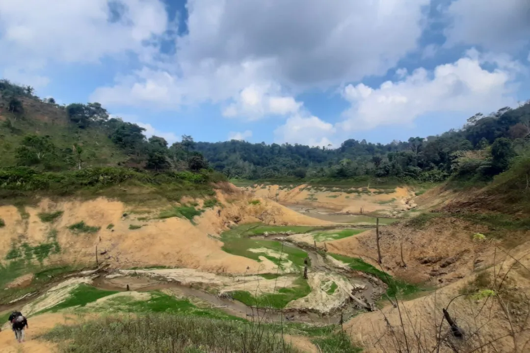 越南罗布斯塔咖啡遭遇减产危机,收购价突破1亿越南盾大关 越南罗布斯塔咖啡遭遇减产危机,收购价突破1亿越南盾大关