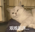 清明节咖啡摊现身陵园:年轻人携咖啡祭扫,与先人分享新式生活 清明节咖啡摊现身陵园:年轻人携咖啡祭扫,与先人分享新式生活