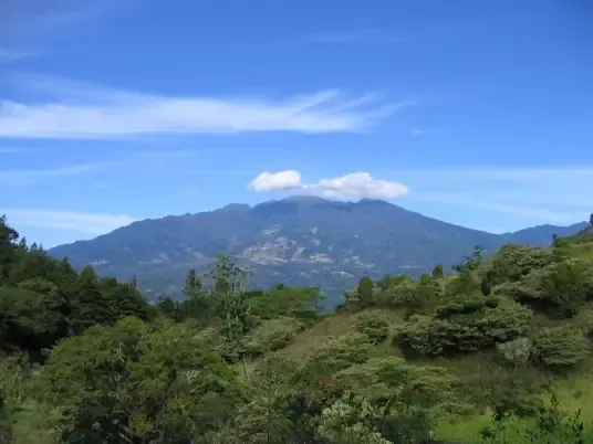 巴拿马波奎特产区瑰夏咖啡豆全解析:从国家地理到前街水洗冲煮风味 巴拿马波奎特产区瑰夏咖啡豆全解析:从国家地理到前街水洗冲煮风味