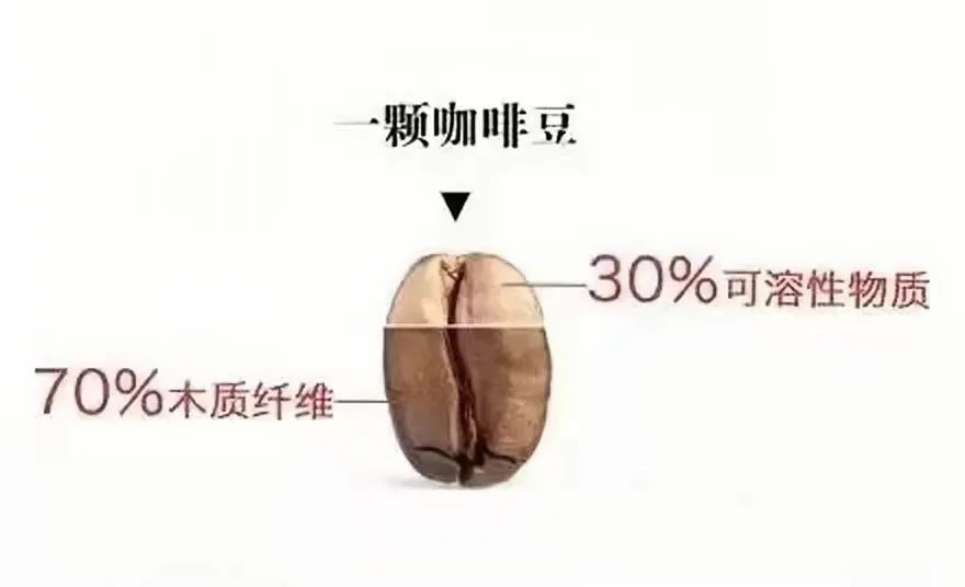 手冲咖啡萃取原理全解析:研磨、水温、水质与粉水比的底层逻辑 手冲咖啡萃取原理全解析:研磨、水温、水质与粉水比的底层逻辑