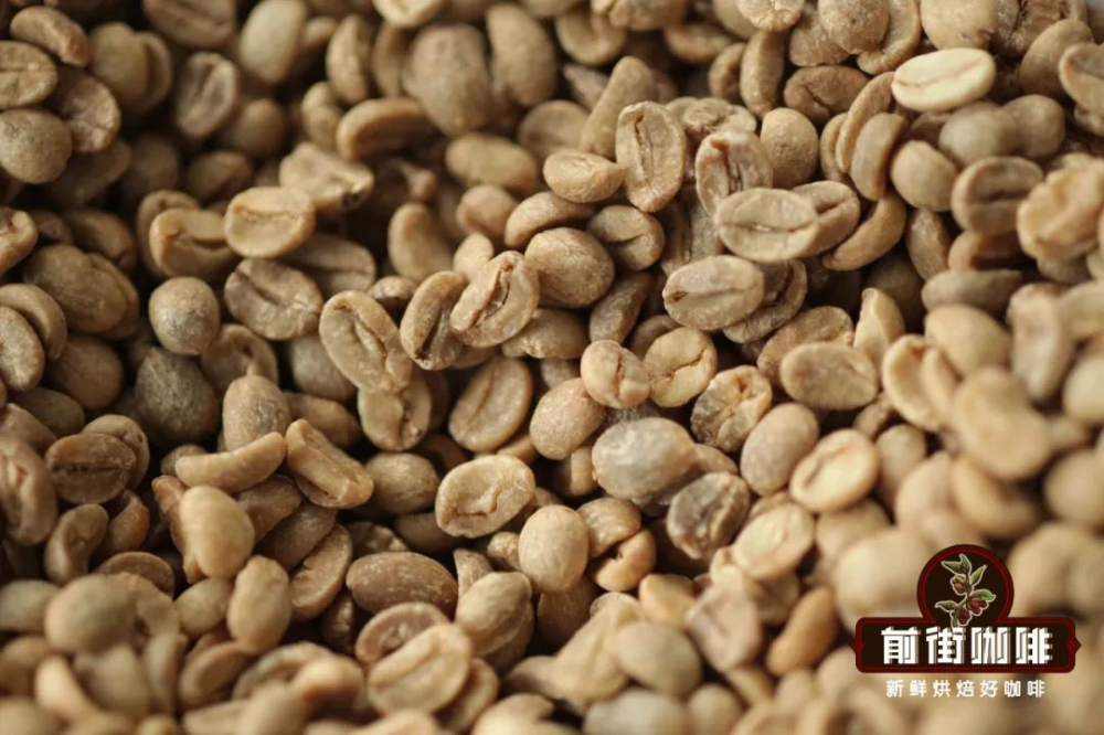 前街咖啡烘焙课程②：生豆大小、密度与含水率对烘焙的影响及瑕疵豆辨识