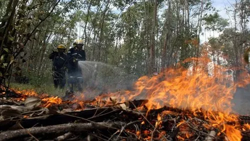 洪都拉斯遭遇极端气候与重度空气污染,咖啡产量出口双双承压 洪都拉斯遭遇极端气候与重度空气污染,咖啡产量出口双双承压