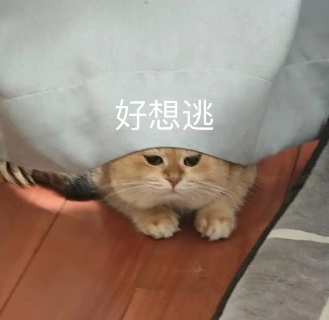 从出液状态判断浓缩咖啡萃取是否正常,以及萃取前需要检查哪些细节 从出液状态判断浓缩咖啡萃取是否正常,以及萃取前需要检查哪些细节