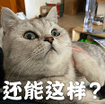 咖啡店创业陷阱:付费当主理人,创业小白如何识别虚假合作机会 咖啡店创业陷阱:付费当主理人,创业小白如何识别虚假合作机会