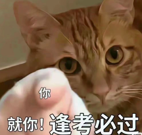 高考季餐饮营销观察:麦当劳、肯德基、霸王茶姬等品牌如何借势送祝福 高考季餐饮营销观察:麦当劳、肯德基、霸王茶姬等品牌如何借势送祝福