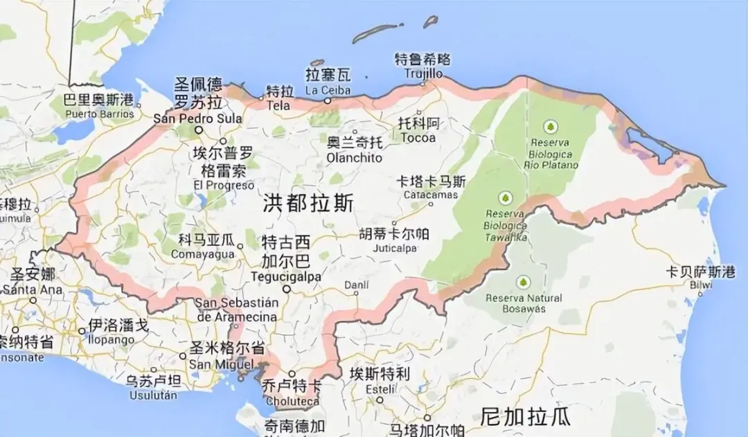 洪都拉斯咖啡产区探秘：蒙德西犹斯与洛斯皮诺斯庄园的崛起