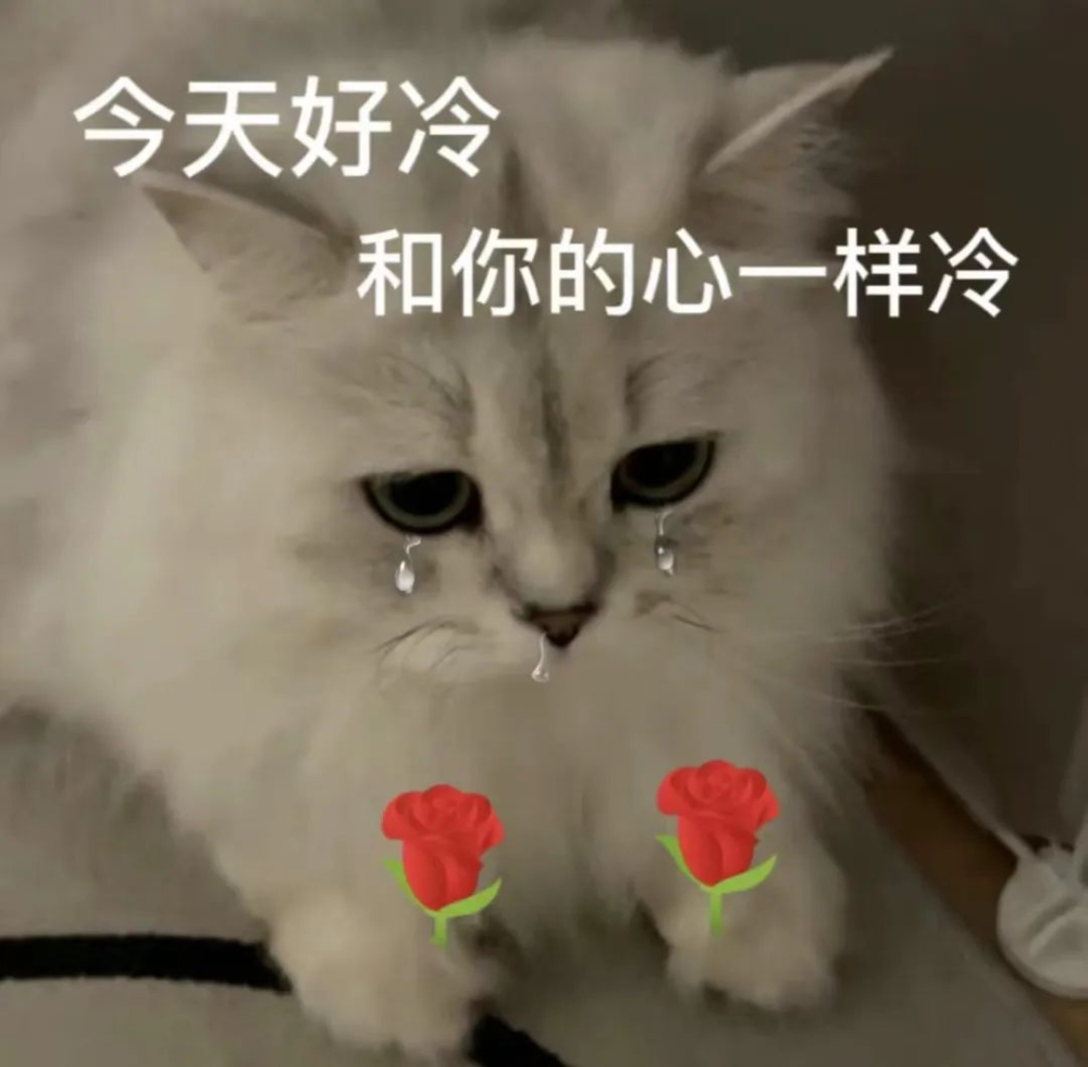 西班牙拿铁并非源自西班牙?冰滴与冷萃的发明地,以及阿拉比卡命名背后的美丽误会 西班牙拿铁并非源自西班牙?冰滴与冷萃的发明地,以及阿拉比卡命名背后的美丽误会