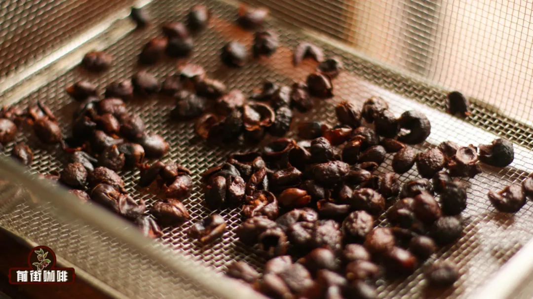 咖啡果皮茶Cascara是什么？从果皮处理到冲泡比例与浓度控制全解析