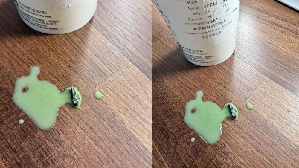 台中女顾客星巴克饮品中喝出苍蝇,官方回应制作符合标准流程 台中女顾客星巴克饮品中喝出苍蝇,官方回应制作符合标准流程