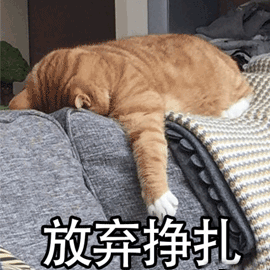 咖啡拉花究竟有多难?从手残到高手的真实进阶之路 咖啡拉花究竟有多难?从手残到高手的真实进阶之路