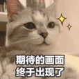 奈雪携手哈利波特推出学院限定饮品,联名周边发放引发粉丝不满 奈雪携手哈利波特推出学院限定饮品,联名周边发放引发粉丝不满