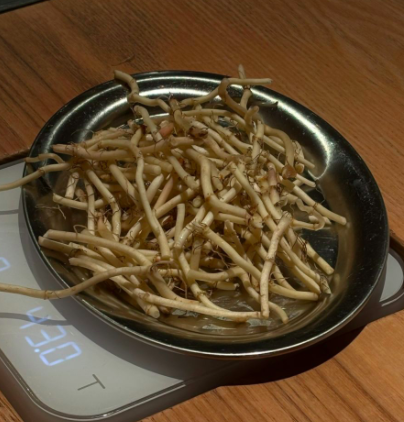 挪瓦×金笛联名鱼腥草美式,折耳根入咖啡引两极热议 挪瓦×金笛联名鱼腥草美式,折耳根入咖啡引两极热议