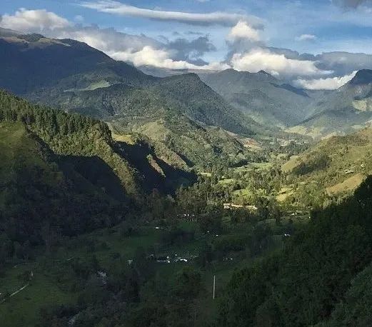 哥伦比亚咖啡产区分布与风味特征：安第斯山地微型庄园与扎卡丁案例解析