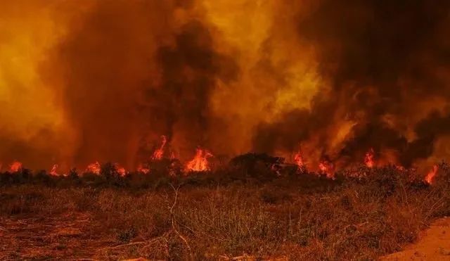 巴西干旱已持续180天 火灾造成逾20亿雷亚尔损失 咖啡产业前景堪忧