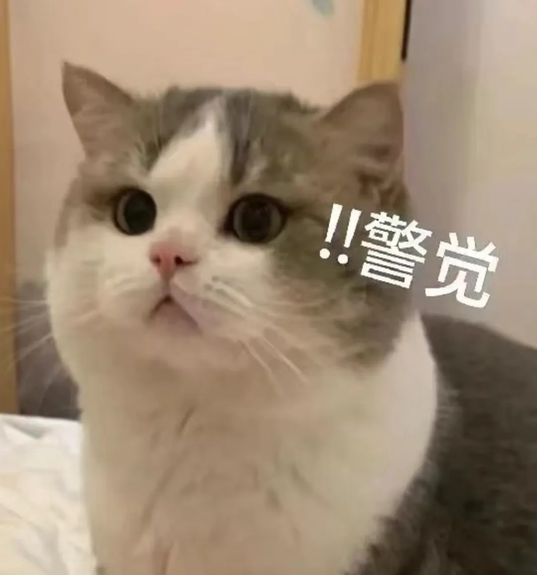 浓缩咖啡一定要遵循1:2粉液比吗？解锁黄金萃取比例的灵活调整思路