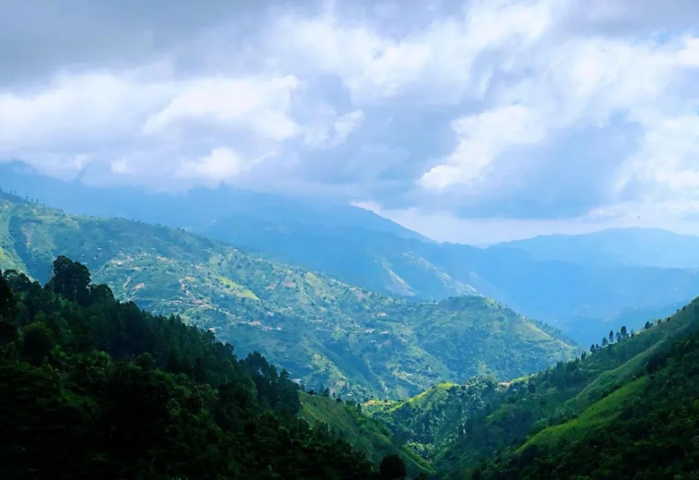 牙买加蓝山咖啡价格高昂的原因与风味特征全面解析 牙买加蓝山咖啡价格高昂的原因与风味特征全面解析