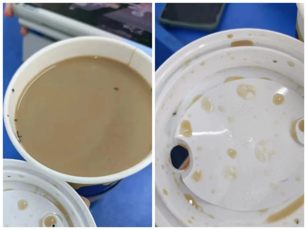 瑞幸饮品被曝混入大量蚂蚁,消费者不满五张优惠券赔偿方案 瑞幸饮品被曝混入大量蚂蚁,消费者不满五张优惠券赔偿方案