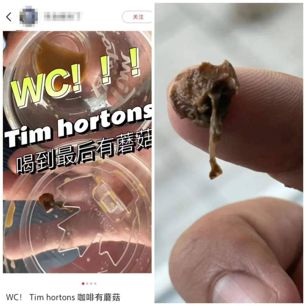 Tims咖啡杯底惊现蘑菇残渣,加拿大门店食品安全争议再升级 Tims咖啡杯底惊现蘑菇残渣,加拿大门店食品安全争议再升级
