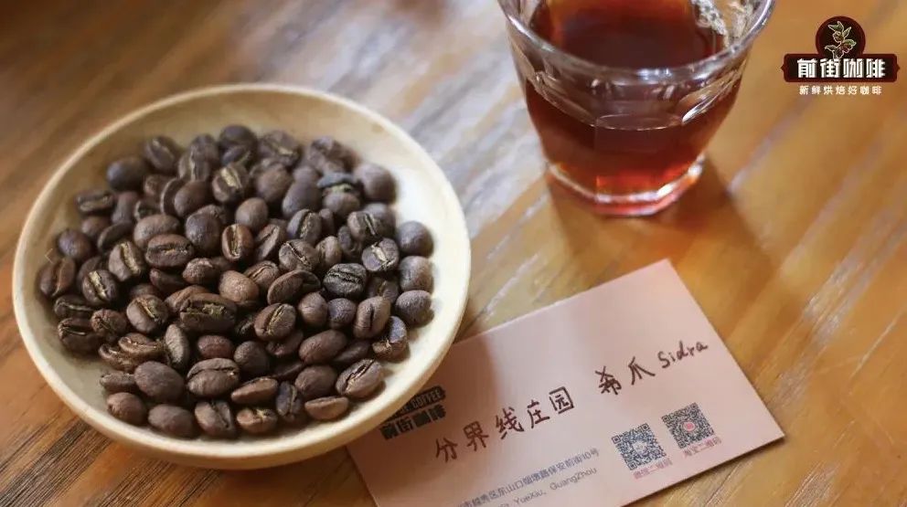 希爪咖啡品种全解析:从厄瓜多尔起源到哥伦比亚成名之路 希爪咖啡品种全解析:从厄瓜多尔起源到哥伦比亚成名之路