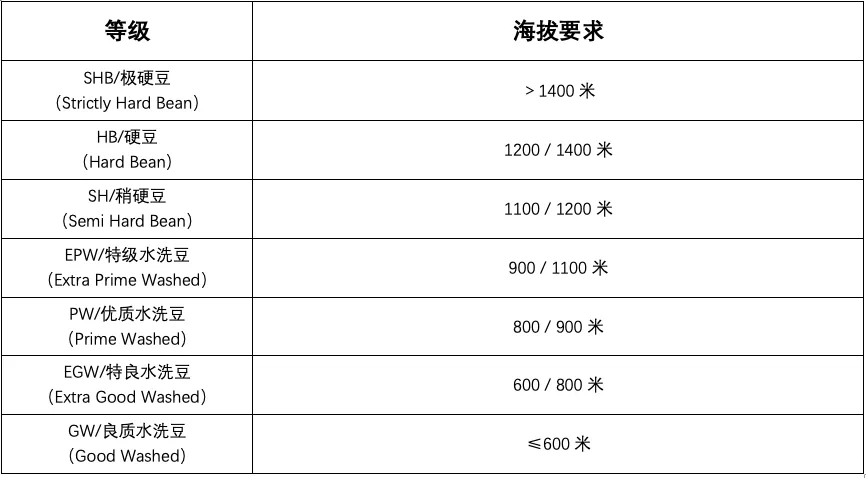 咖啡生豆分级三大依据:筛网、海拔与瑕疵率,AA、G1等级含义全解析 咖啡生豆分级三大依据:筛网、海拔与瑕疵率,AA、G1等级含义全解析