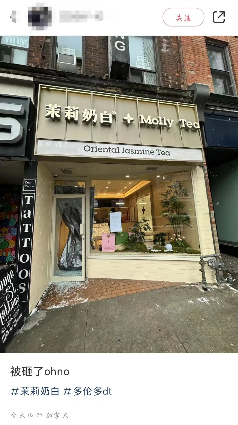 茉莉奶白多伦多首店疑遭破坏,网友猜测指向同业竞争与流浪汉闯入 茉莉奶白多伦多首店疑遭破坏,网友猜测指向同业竞争与流浪汉闯入