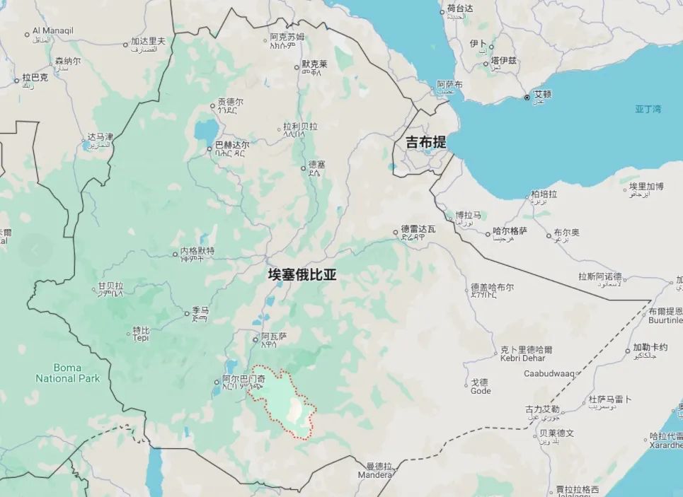 花魁咖啡豆是独立品种吗？古吉罕贝拉产区日晒花魁的起源与演变