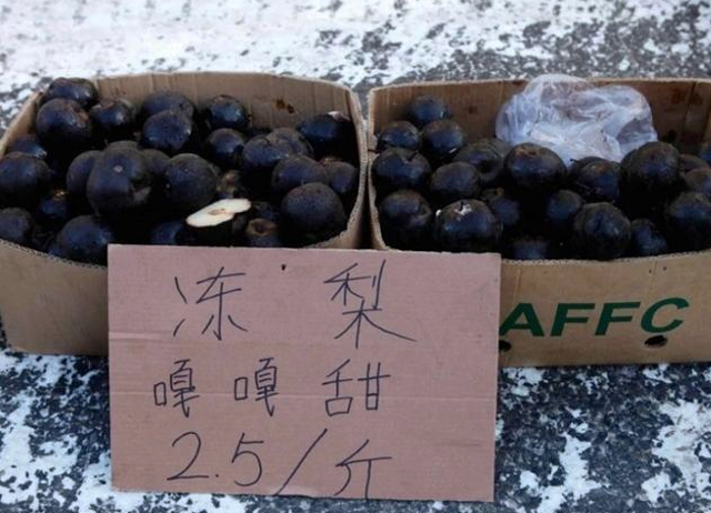 瑞幸推大冻梨美式引热议,网友称其味道堪比冰糖雪梨 瑞幸推大冻梨美式引热议,网友称其味道堪比冰糖雪梨