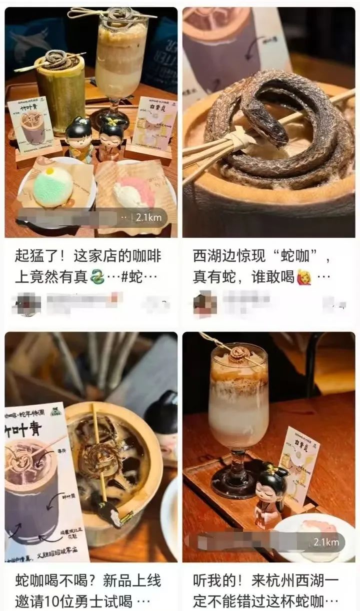 杭州咖啡店推出真蛇干装饰特调,白素贞与竹叶青引发热议 杭州咖啡店推出真蛇干装饰特调,白素贞与竹叶青引发热议